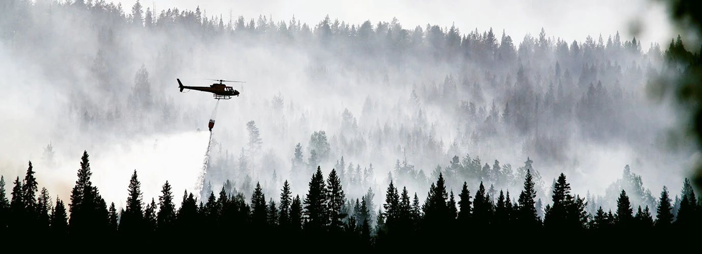 helicopter extinguishes forest fire