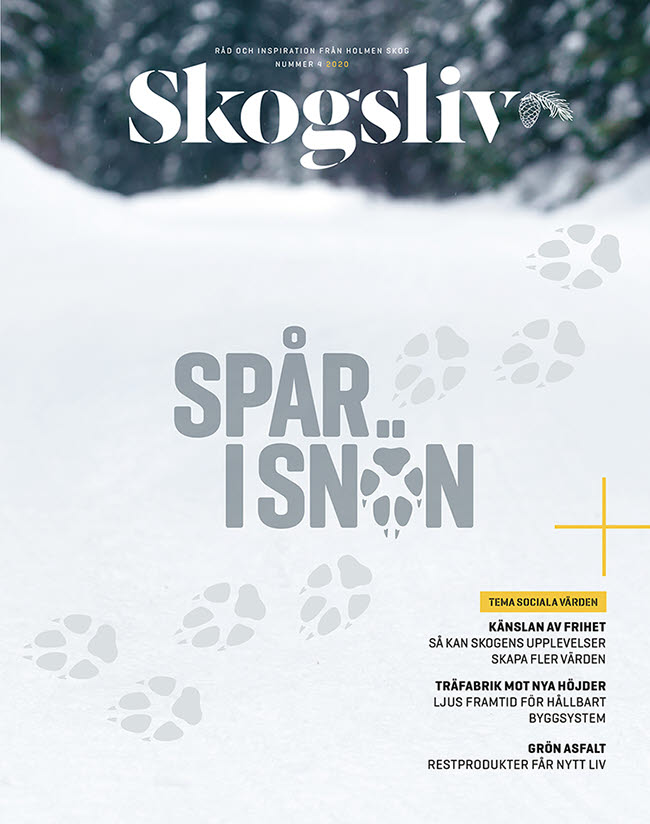 Omslag på magasinet Skogsliv nr 4 2020 med texten Spår i snön omgiven av djurspår.