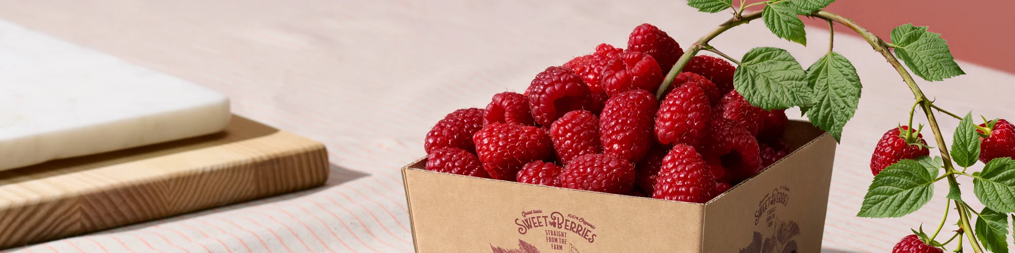 Fresh raspberries in containerboard box.