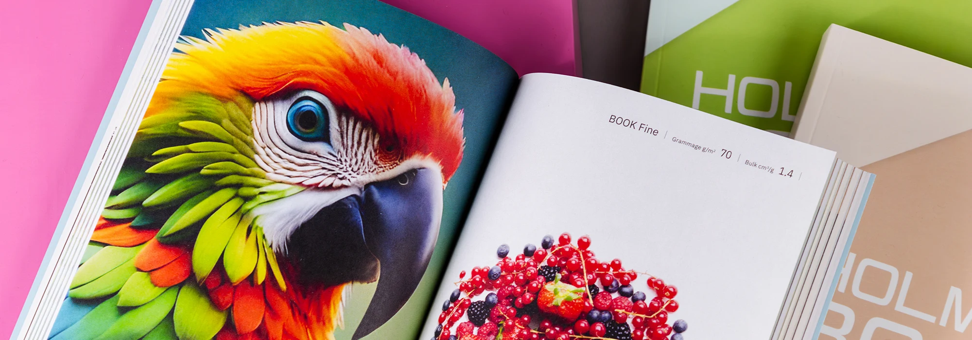 Parrot photography displayed on an open spread of a book. 