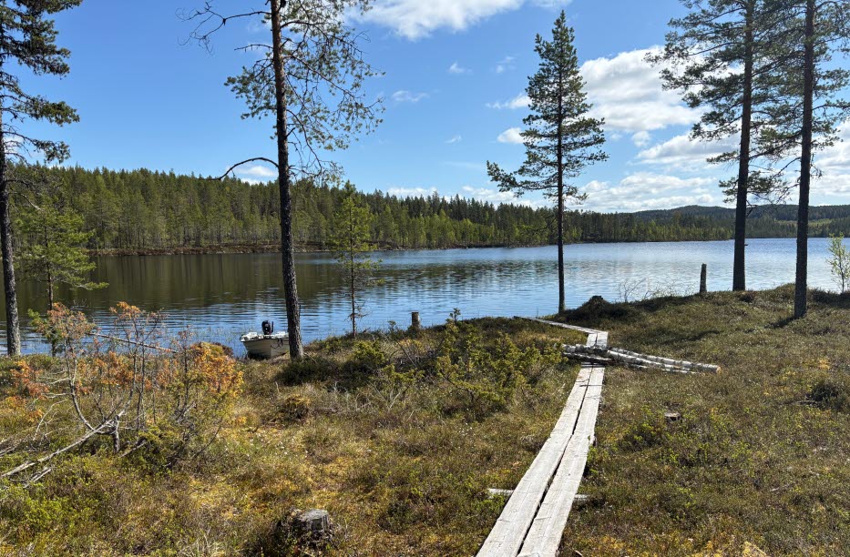 Utsikt över Låsjön i Kunnådalens Kunskapsskog