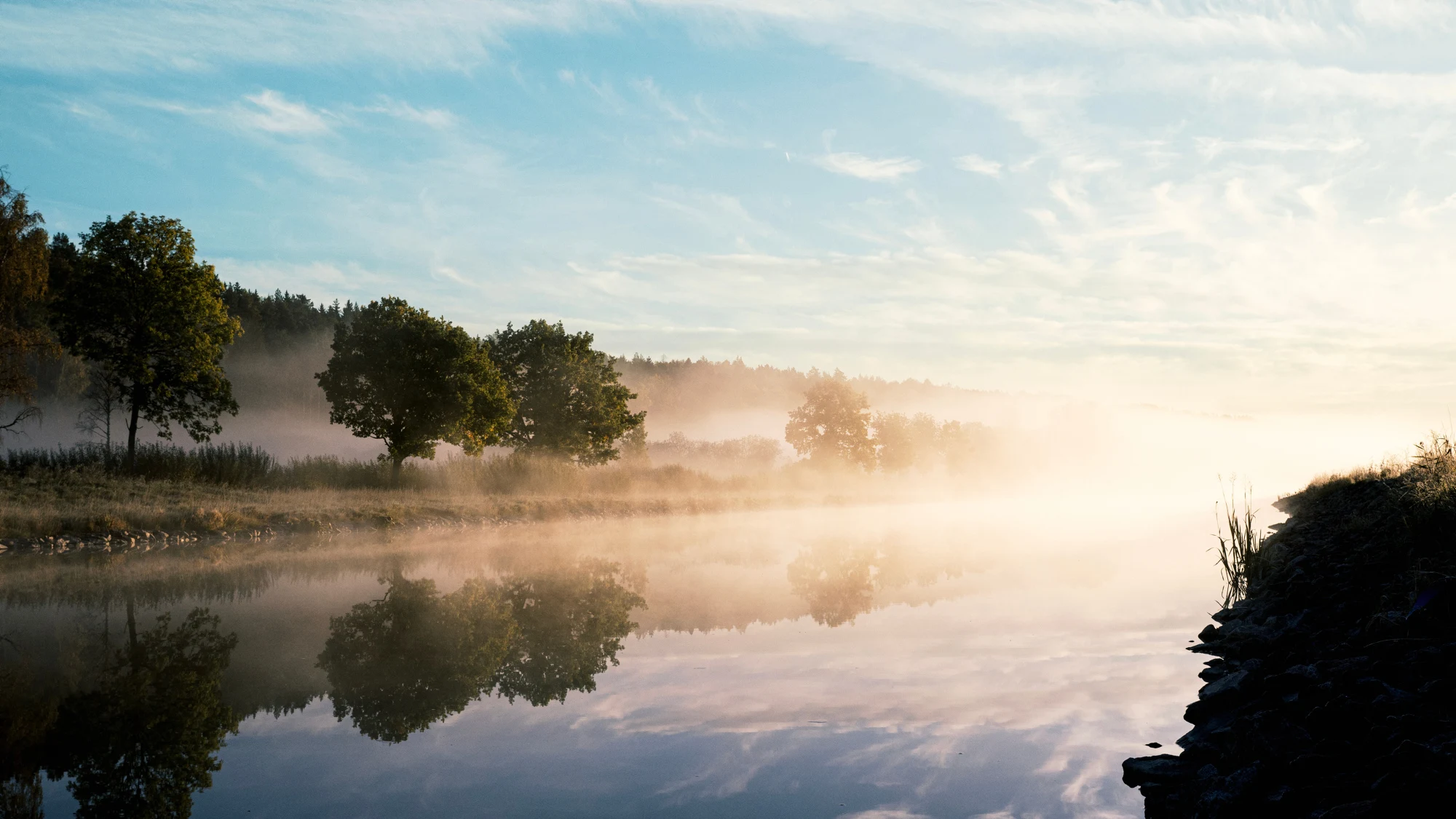 En kanal i motljus i morgondimma med träd längsmed sidorna.