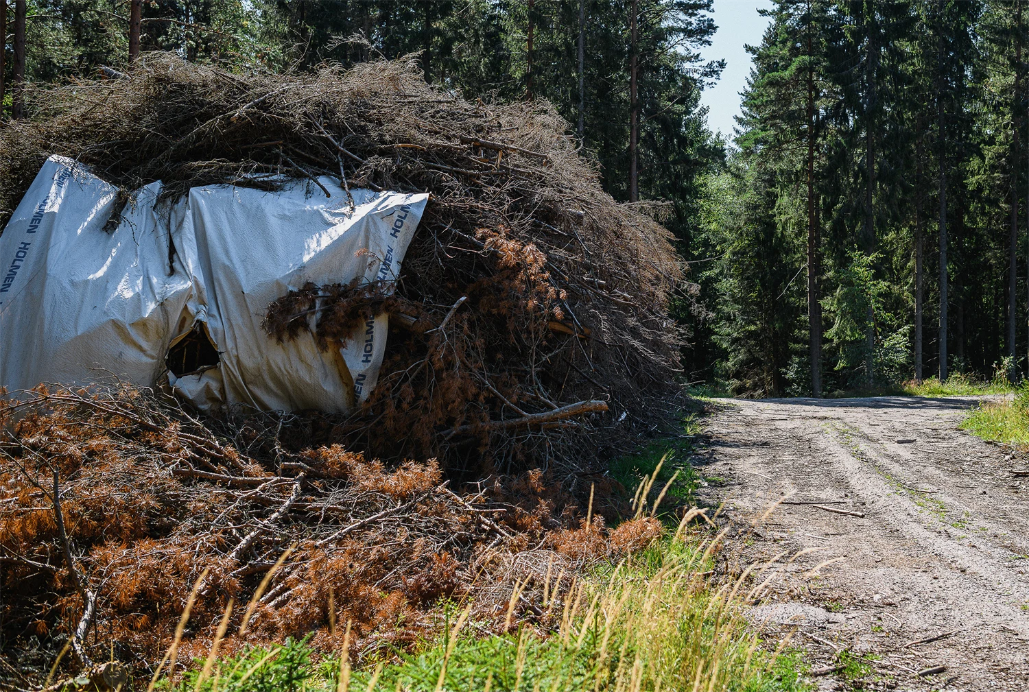 En hög med biobränsle torkar till i skogen. Foto: Crelle