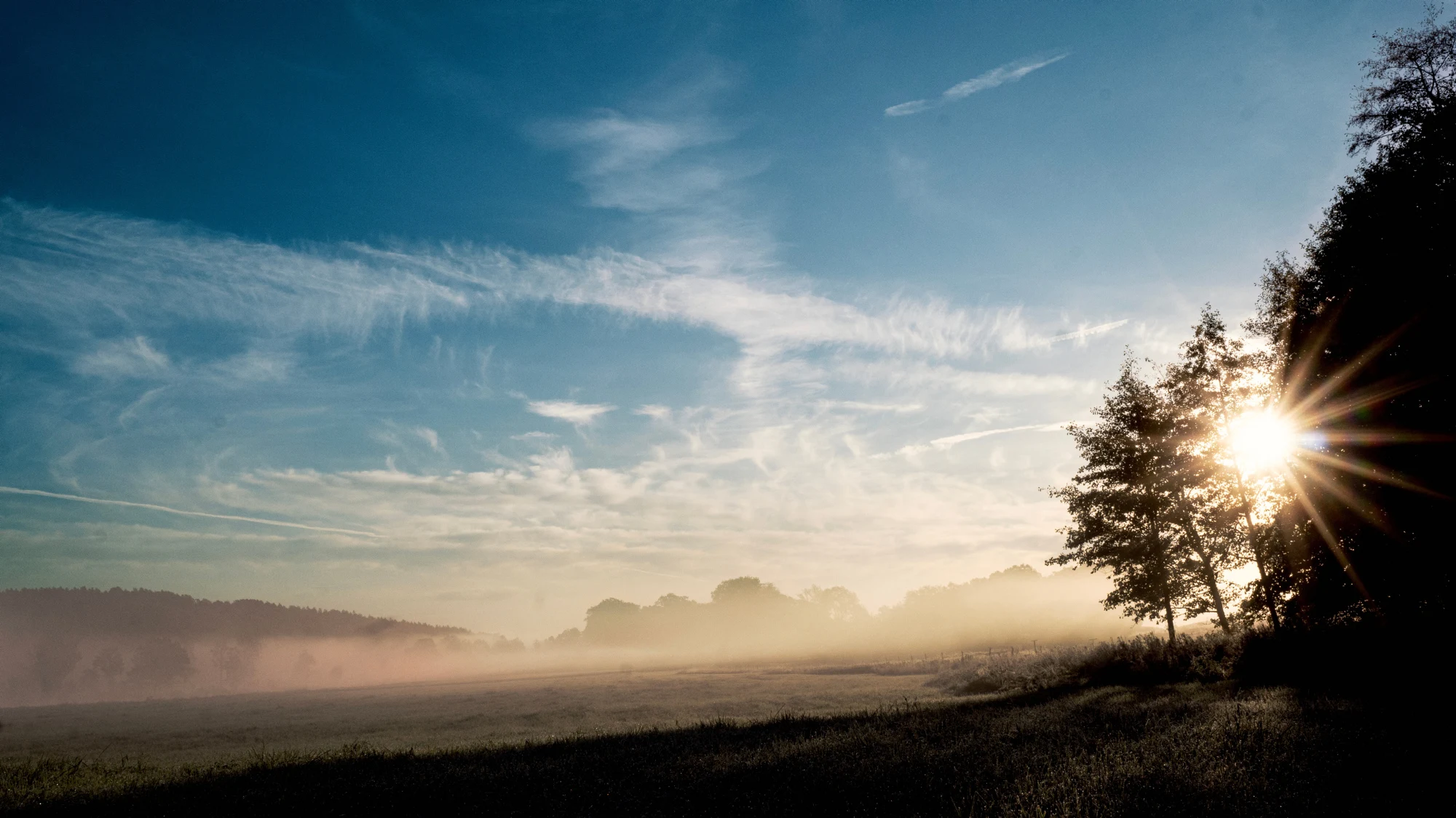 Man walking in forest