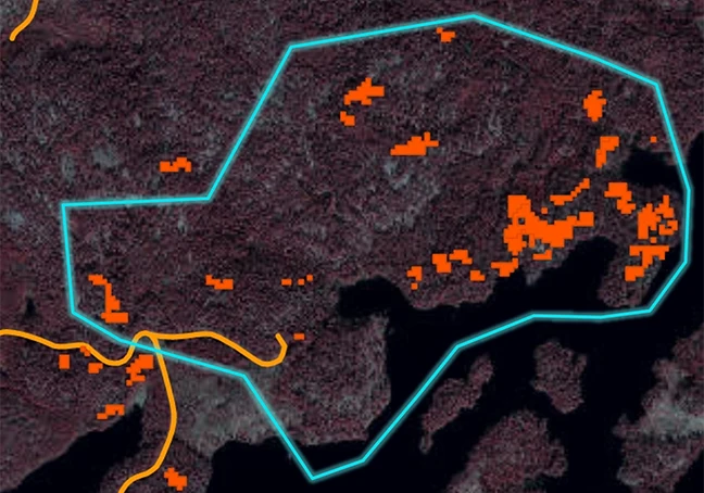 En digital karta över en skog som är angripen av granbarkborre. De faktiska skadorna är utmärkt i rött. 