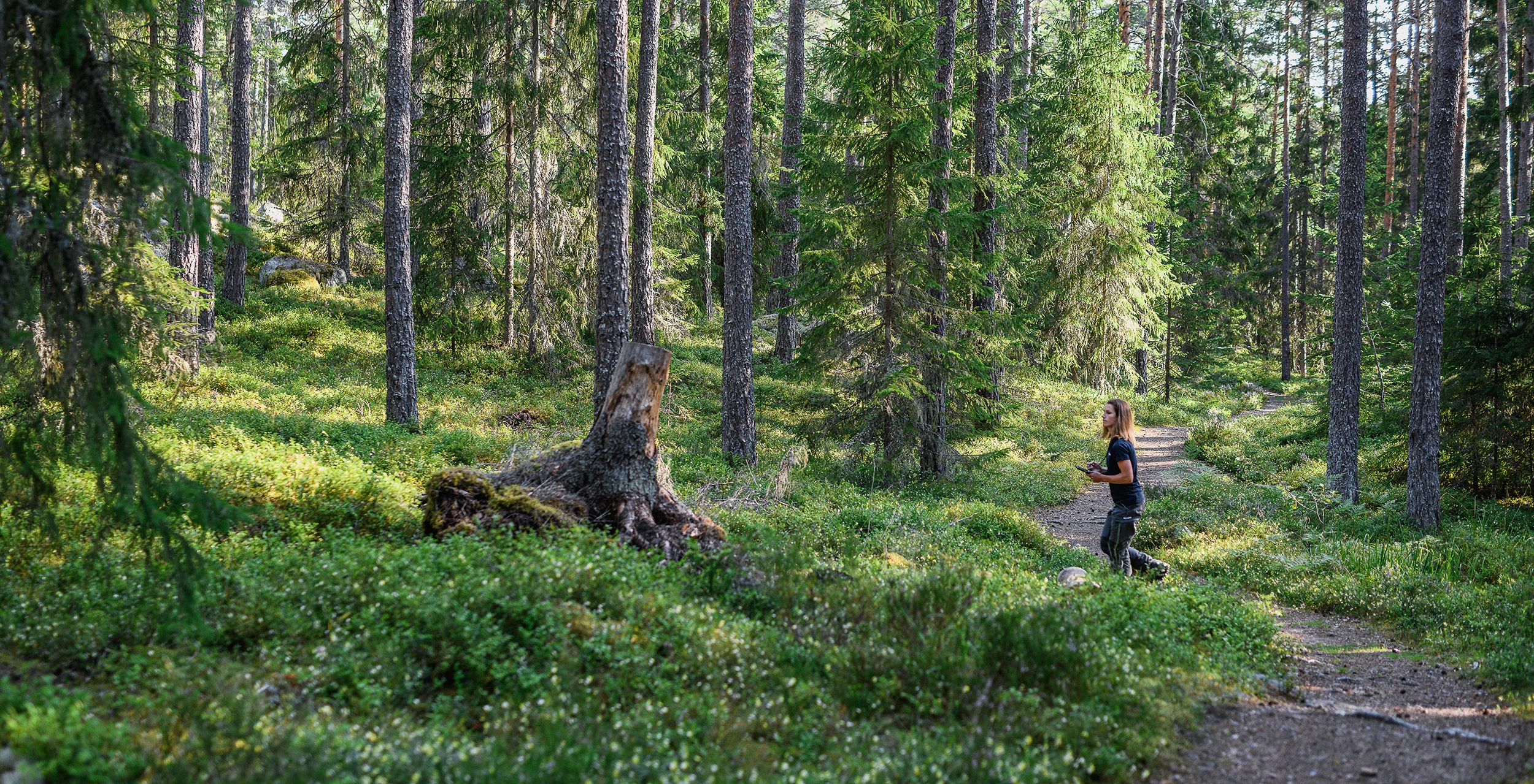 Bild på kollegor kring ett mötesbord