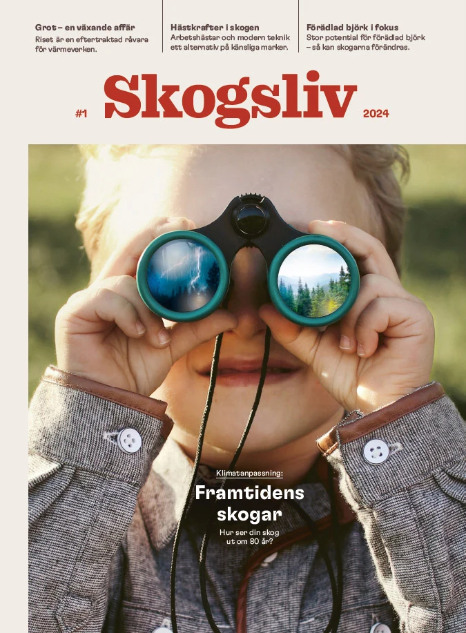 Omslag på magasinet Skogsliv nr 1 2024 porträtt av en ung pojke med kikare. I kikarens ena lins speglas ett åskoväder och i den andra en grön skog i solsken.