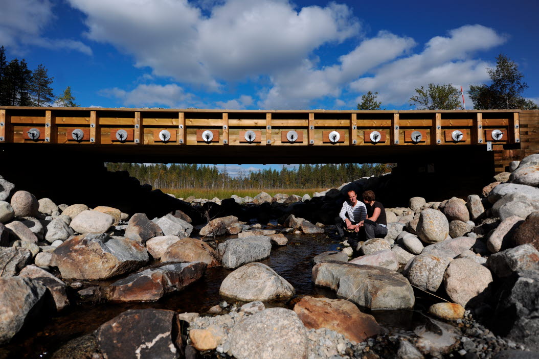 Removing obstacle for fish migration