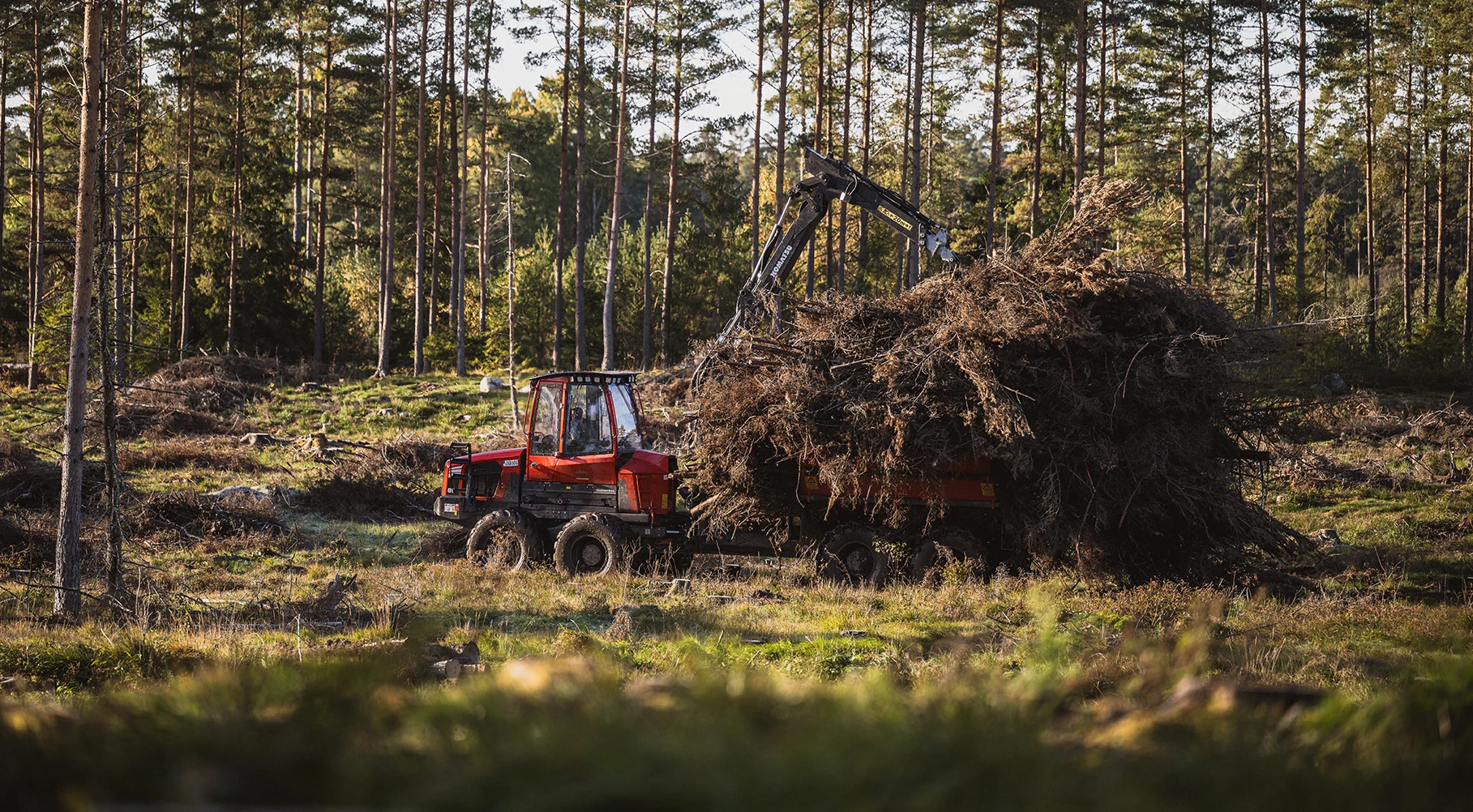 Skogsbränsle, grot, samlat i en risvälta vid vägen.