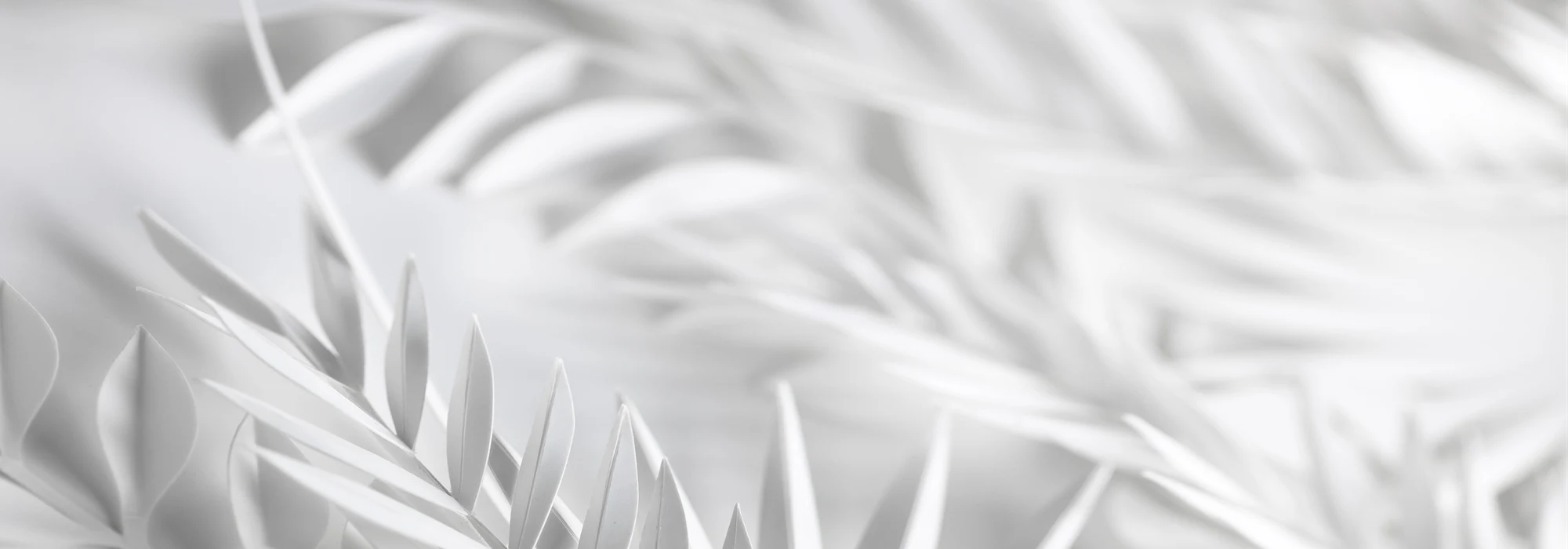 White paperboard art resembling leaves 