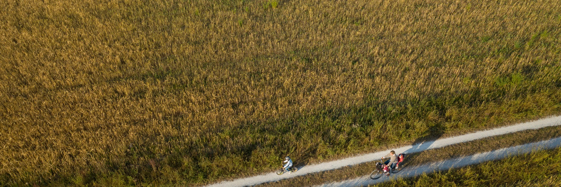 Two people on bicycles in a field 