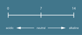 illustration of surface pH value