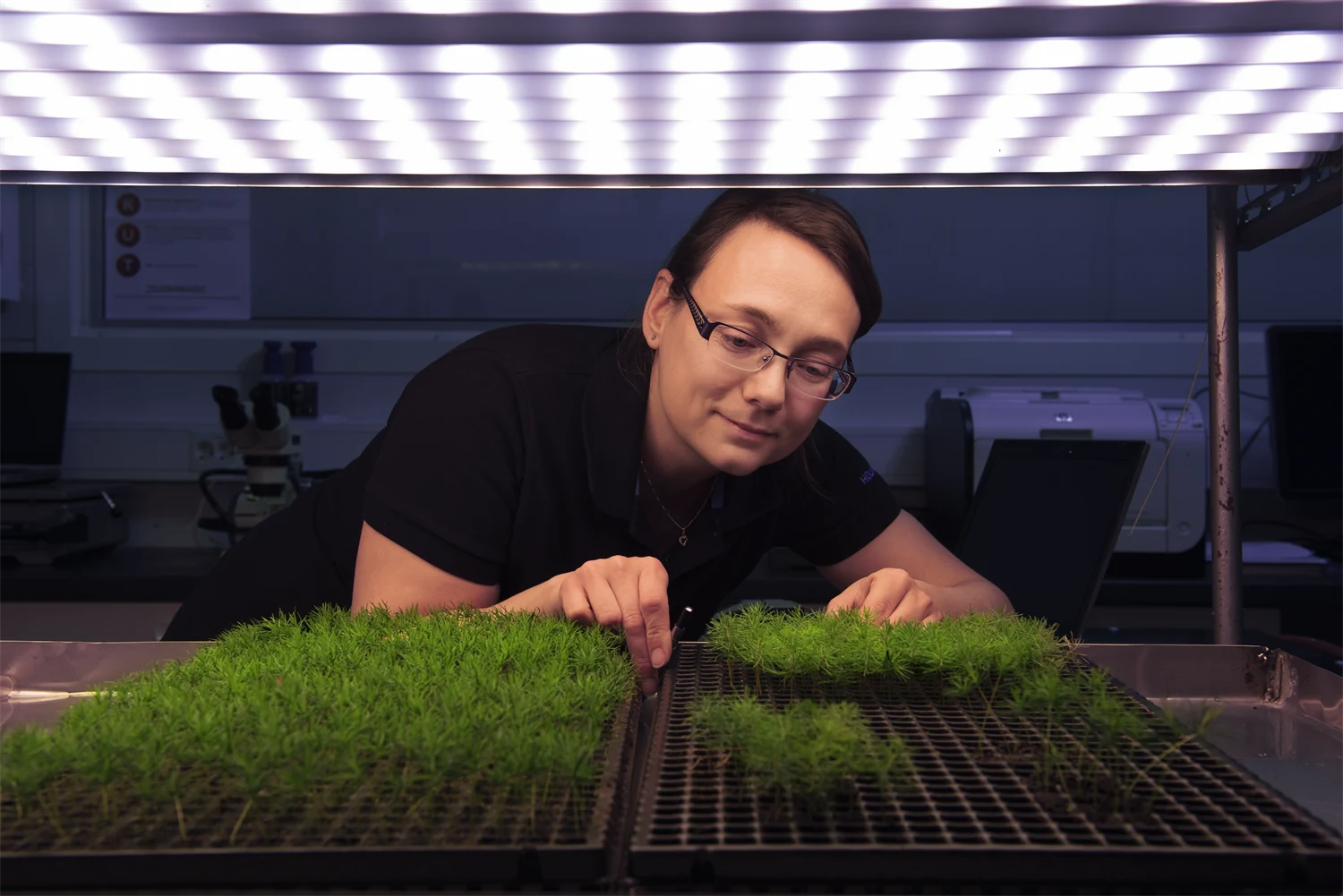 Från frö till planta på fyra veckor