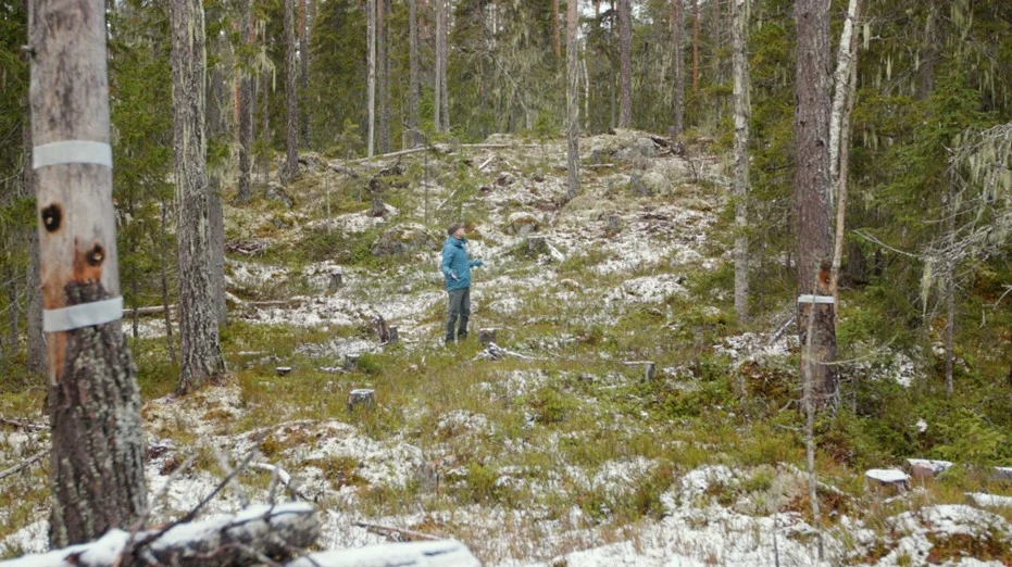 Jan Åhlund, skogsbrukschef, Holmen Skog, besöker ytan som luckhuggits i Kunnådalens kunskapsskog. – SLU:s forskningsprojekt är ett exempel på precis det som är syftet med kunskapsskogarna, att möjliggöra forskning och bygga ny kunskap.