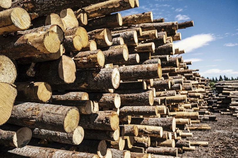 En timmervälta avlastat vid sågverk