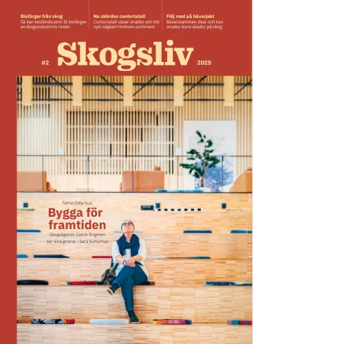 Framsida nr2 2025
