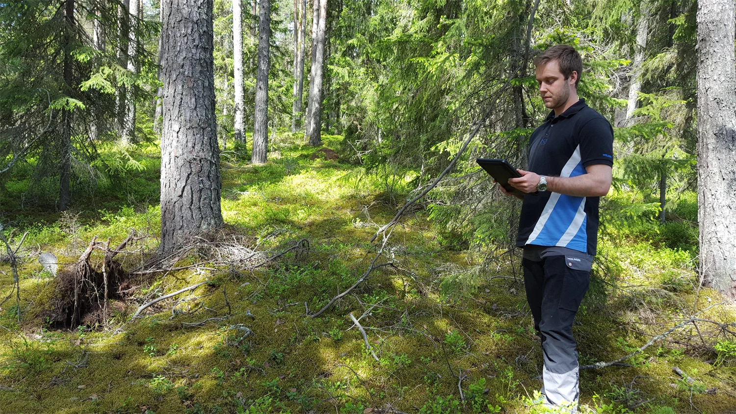 Virkesköparen Emil granskar skogen runt om och jämför med data i paddan.