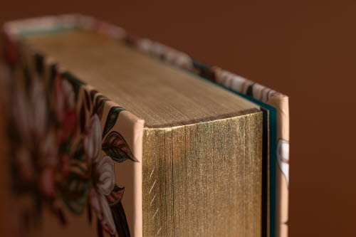 Twilight special edition book with golden edges, printed on Holmen BOOK Cream