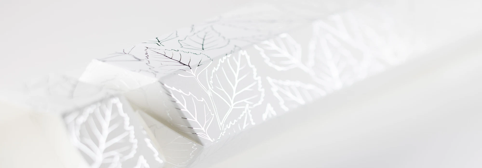 Paperboard box with transparent glossy varnish and die cut butterfly wings on the top.