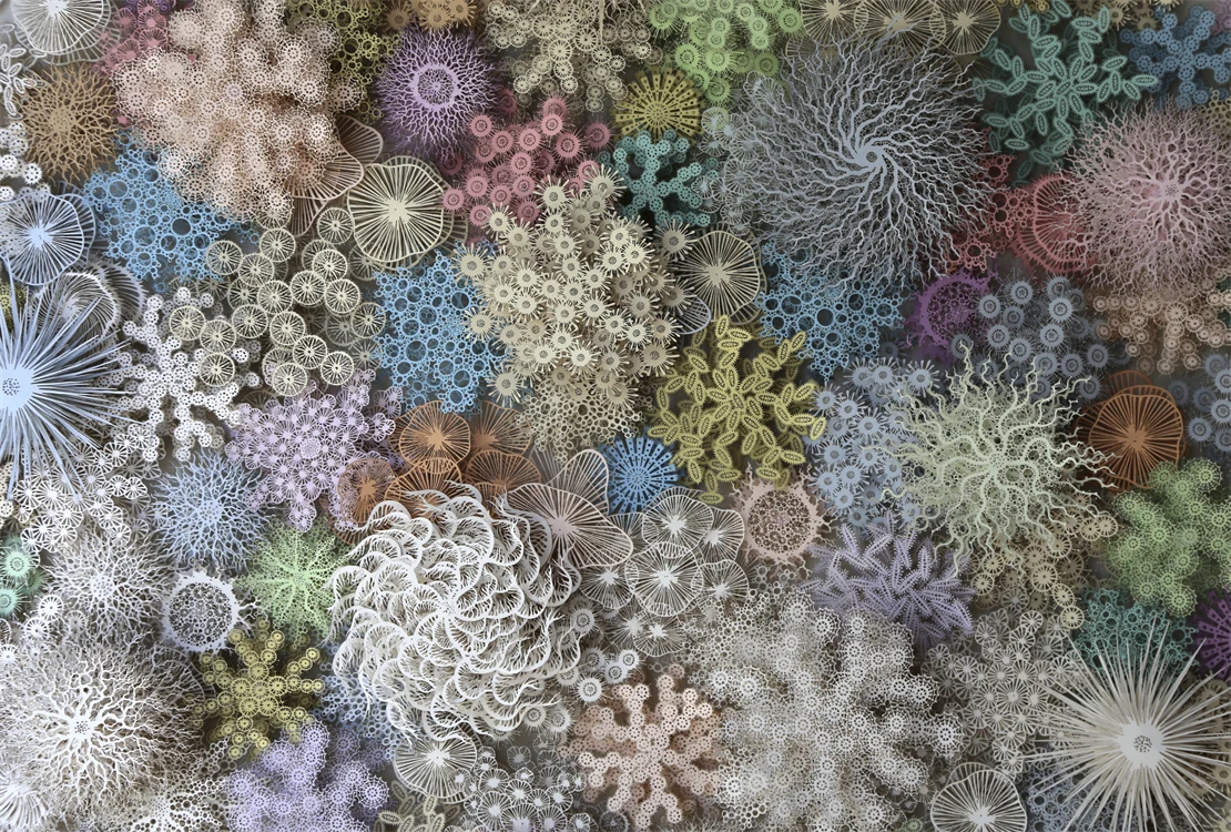 Paper Sclptures Of Microscopical Organic Forms 
