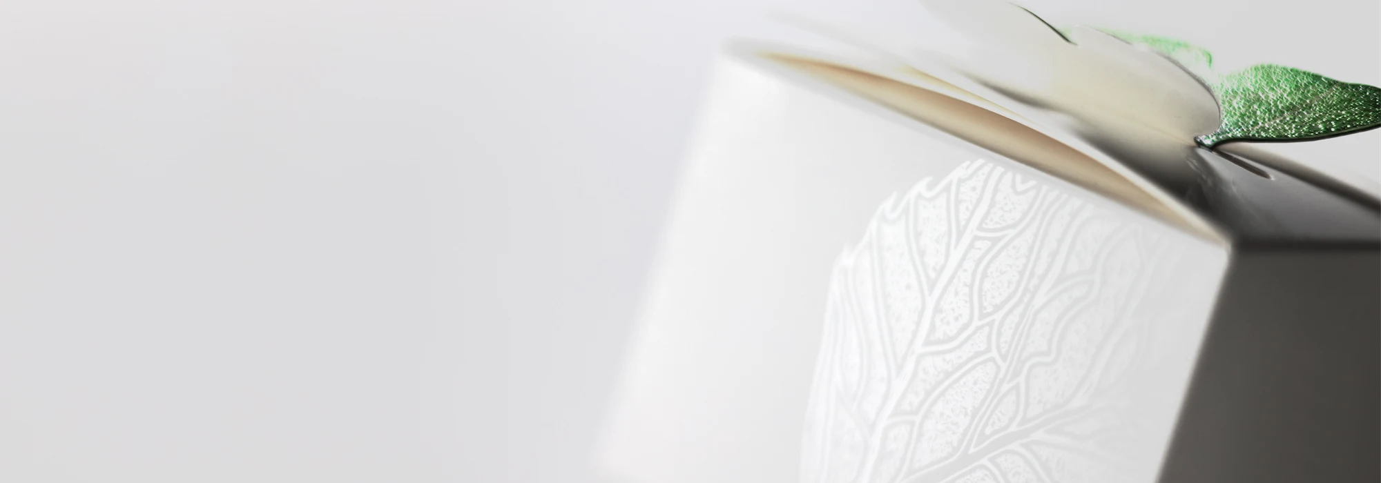 Paperboard box with transparent varnish and lid in the shape of die cut butterfly wings.