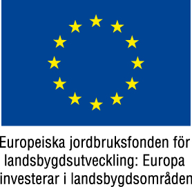 Bild som visar EU-flaggan