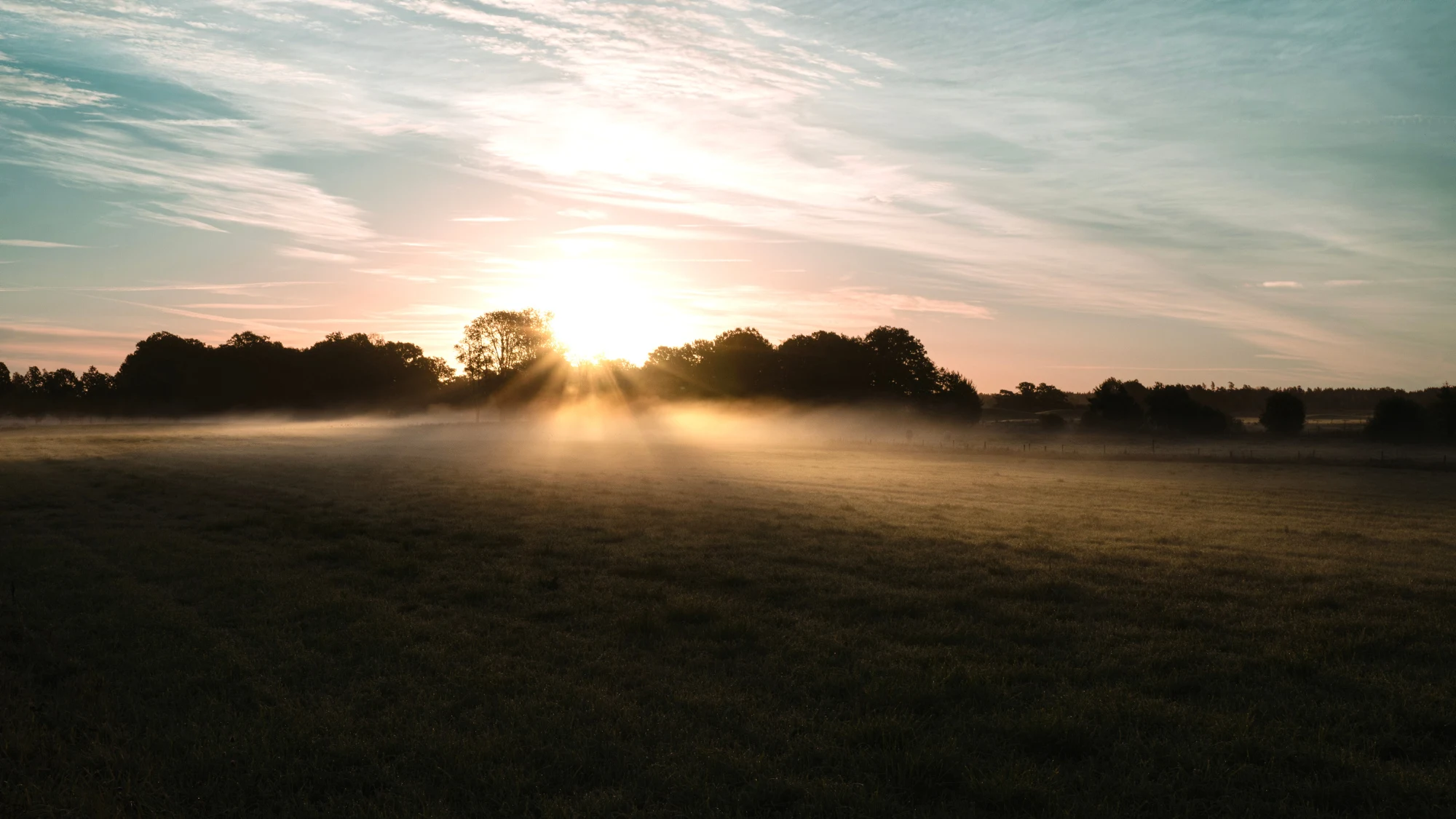 Holmens fokusområden