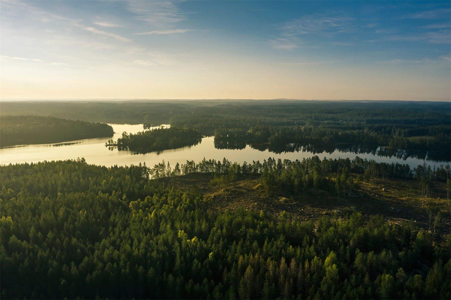 Drönarbild över skogslandskap med flikig sjö.