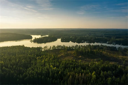 Holmen kooperiert mit Ecotype zur Verbesserung von Forstwirtschaftsdiensten