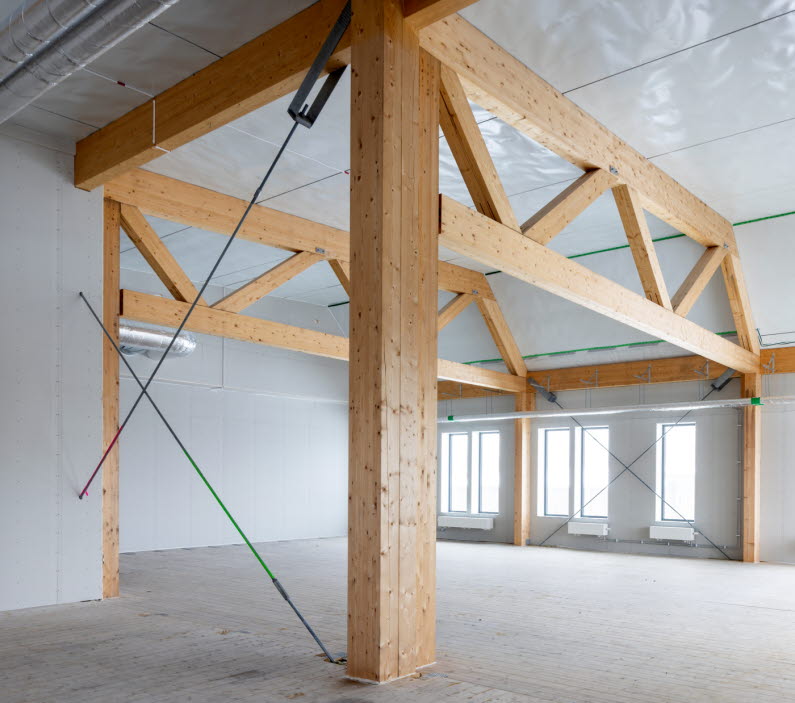 Bilbesiktning med tr&auml;stomme