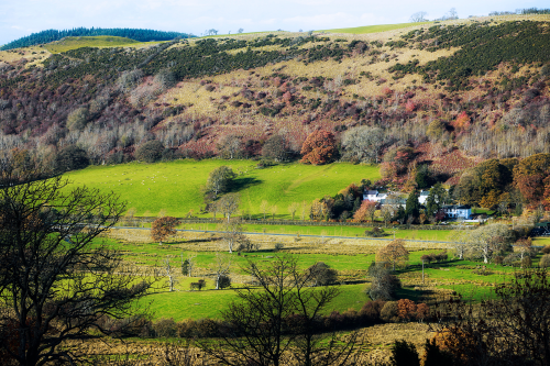 View over green fields close to Close Farm