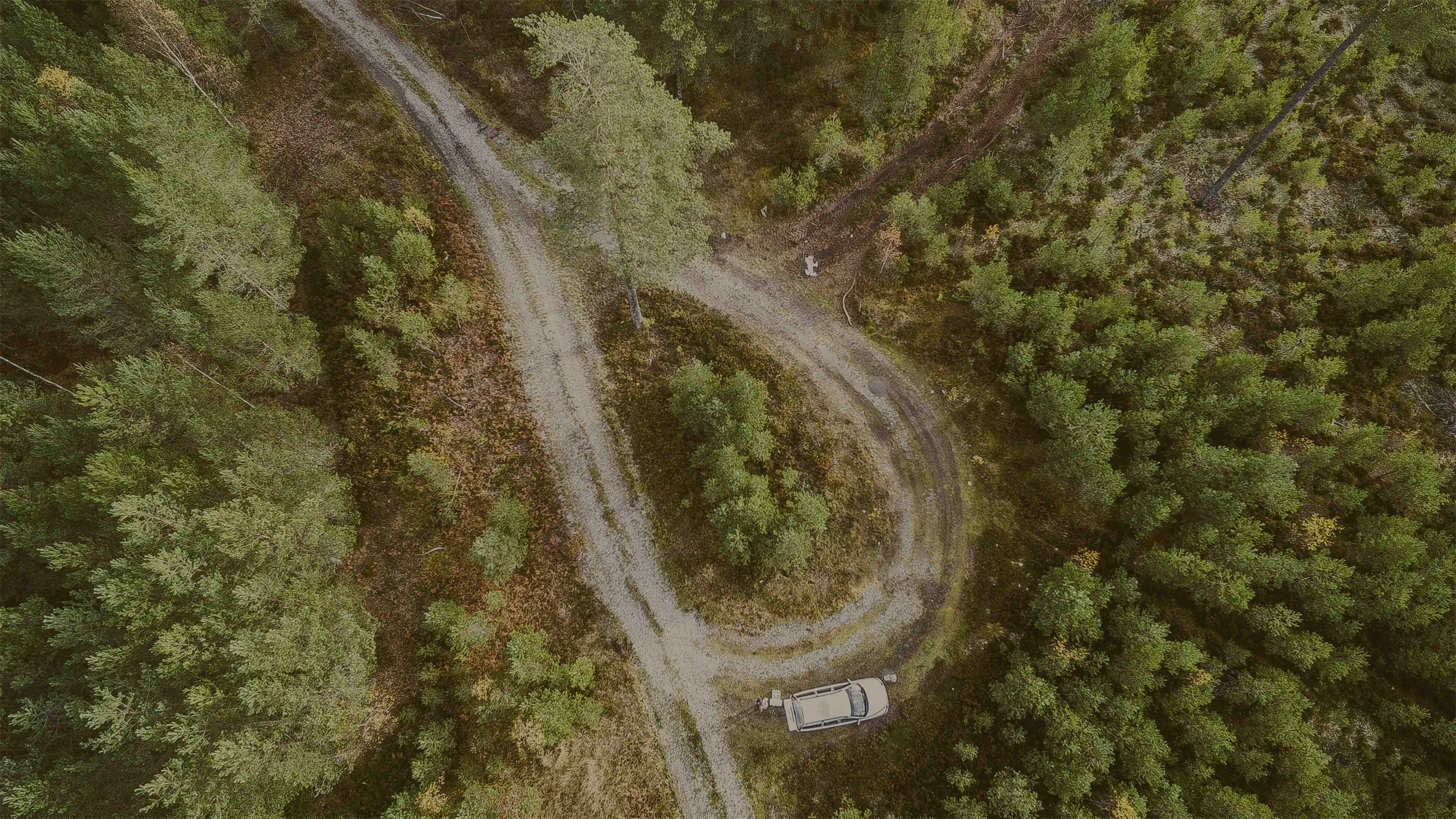 Skogsbilvägar är själva blodomloppet i skogsbruket