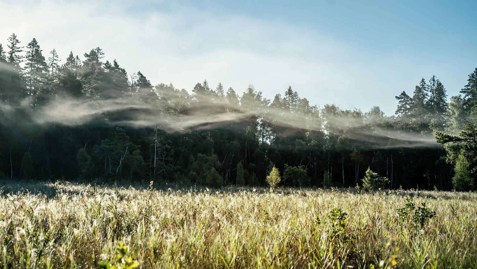 Sawn woodproducts and blue sky