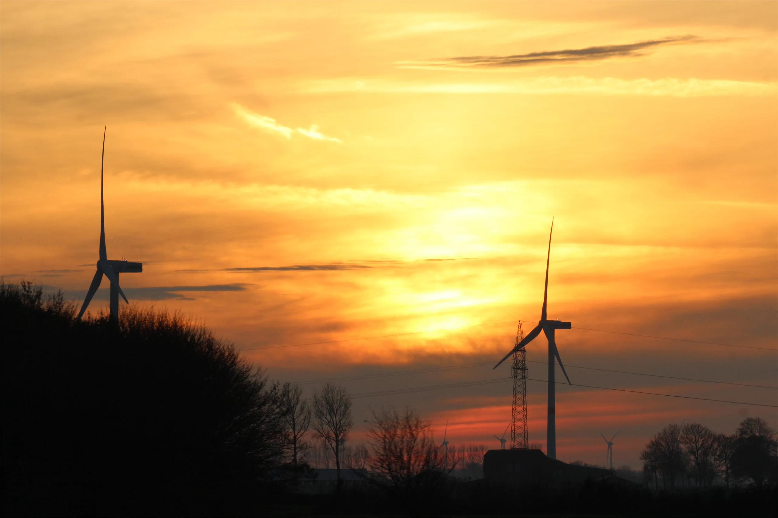 Windmills in winter forest