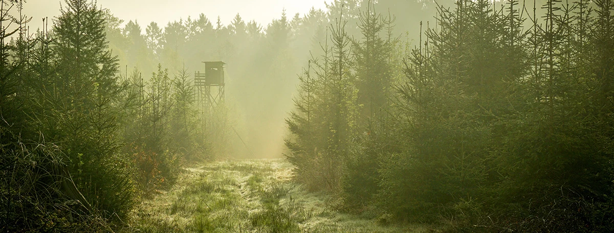Jakttorn i motljus och dimma