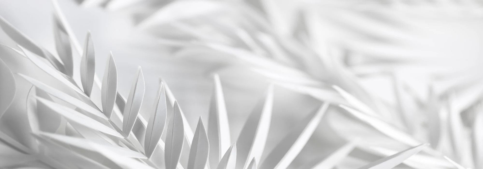 holmen Iggesund paperboard art