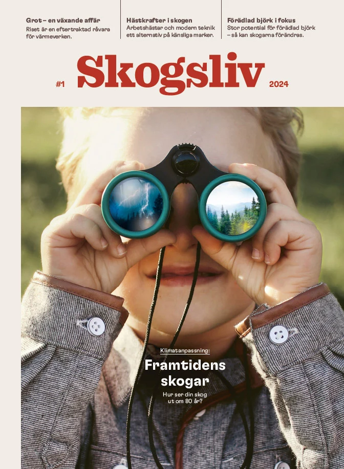 Omslag på magasinet Skogsliv nr 1 2024 porträtt av en ung pojke med kikare. I kikarens ena lins speglas ett åskoväder och i den andra en grön skog i solsken.