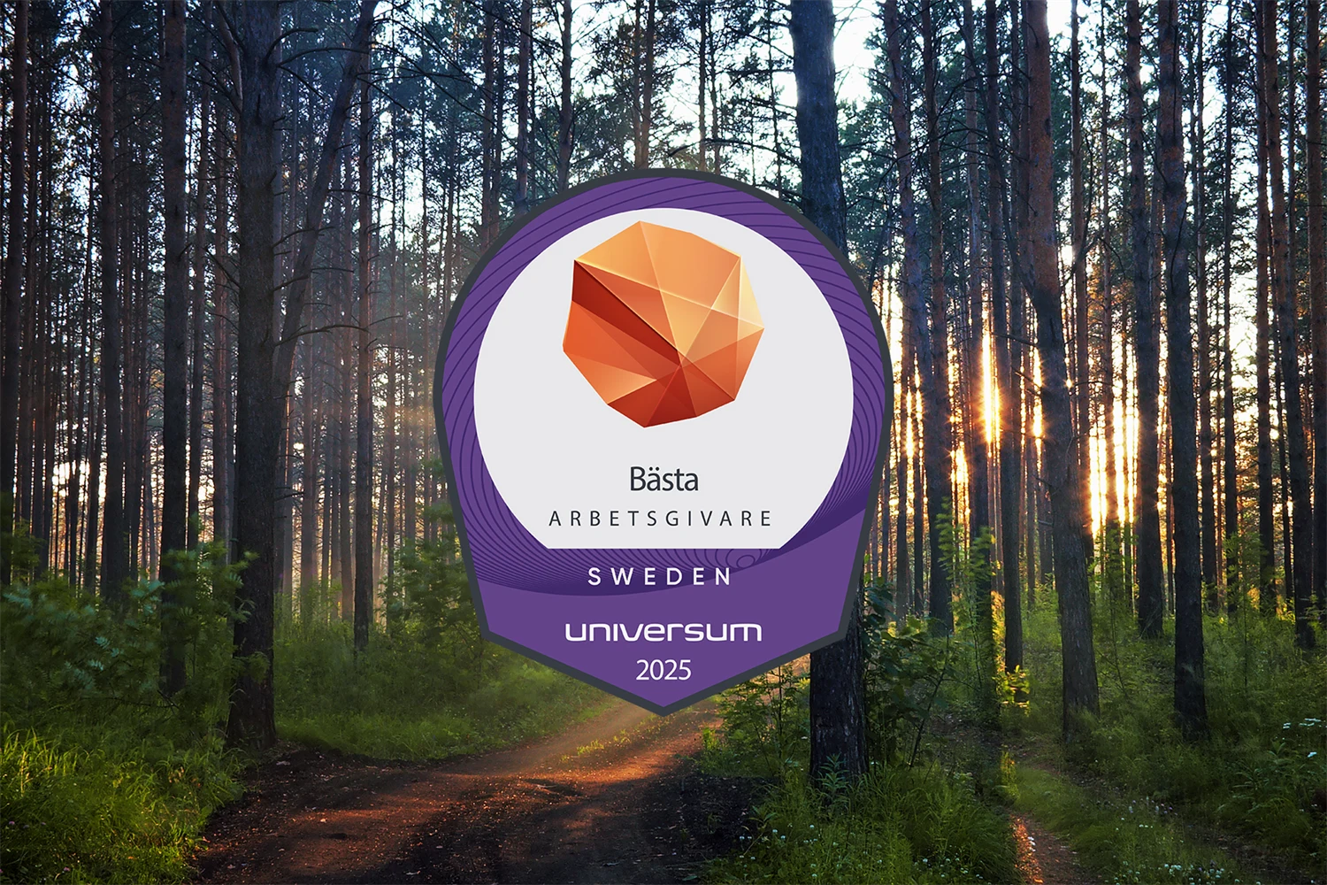 Badge Sveriges Bästa Arbetsgivare 2025