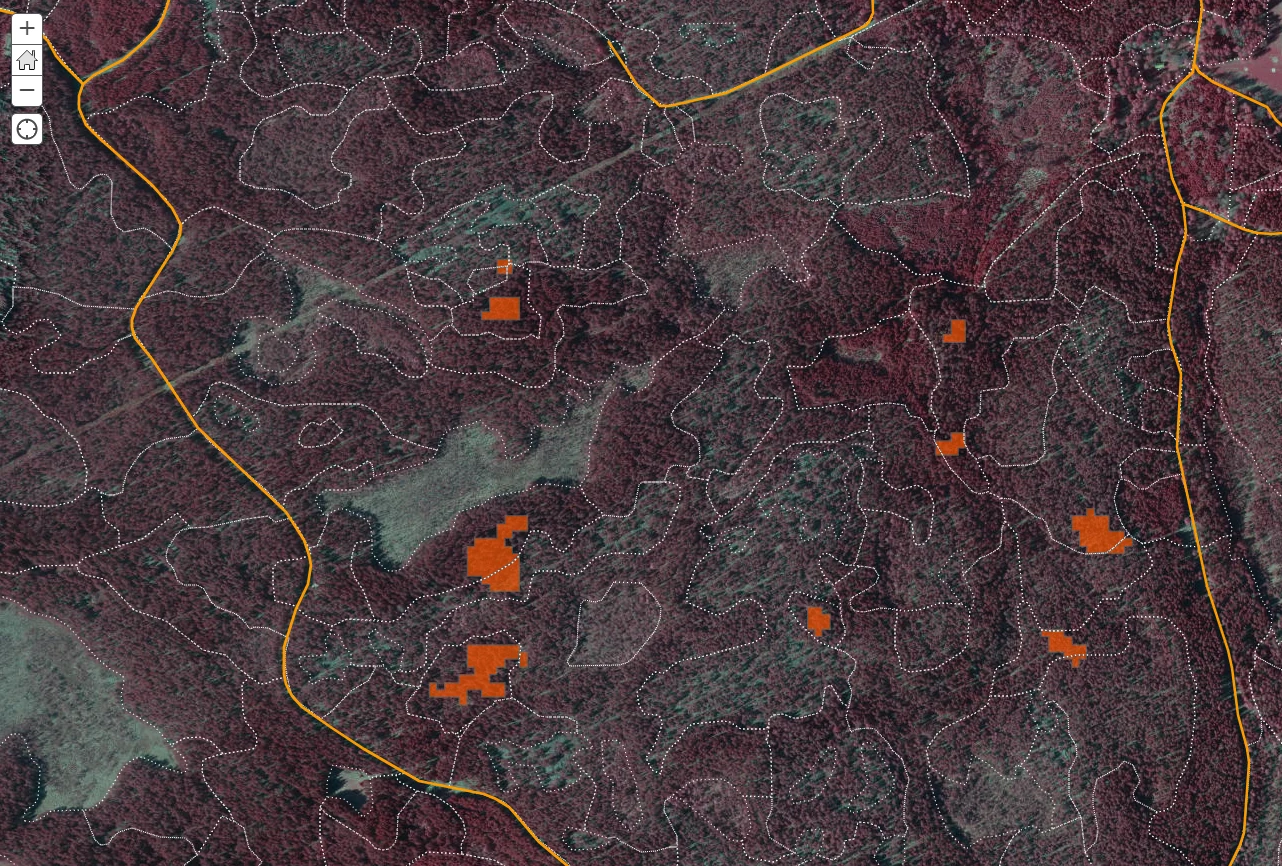 Karta med röda markeringar för angrepp av granbarkborre
