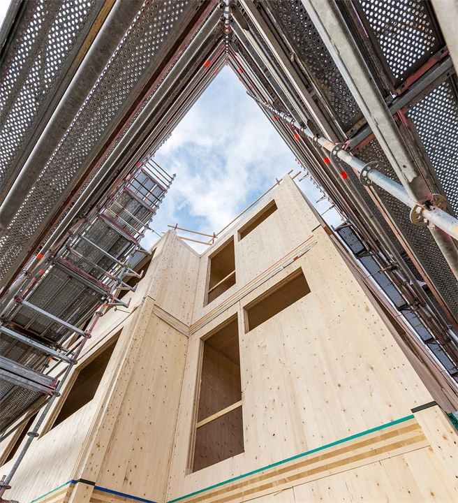 Hus helt i trä byggs upp